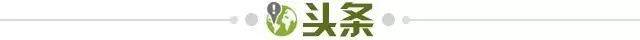 MK体育-【早报】曼城正式登顶，罗塞尼尔下课！